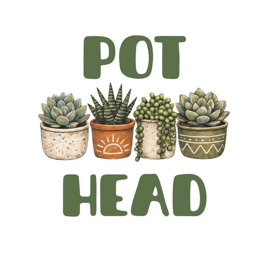 Pot Head succulents