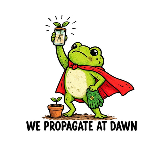 We Propagate at Dawn