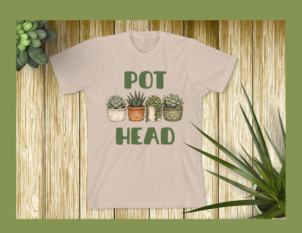 Pot Head succulents